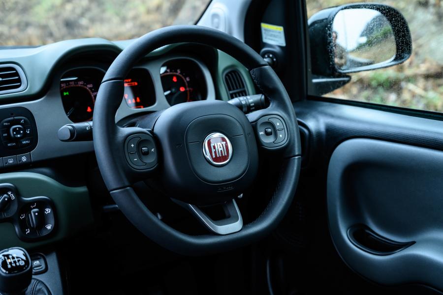 Торпедо Fiat Panda 4x4 Foresta (319) 2018 года  (JP) (фото 10 из 14)